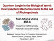 Research paper thumbnail of Quantum Jungle in the Biological World: How Quantum Mechanics Come to the Aid of Photosynthesis