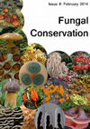 Research paper thumbnail of Fungi, keystones of evolution and earth processes  - Conference Report, pp. 8-11