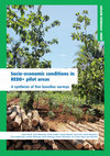 Research paper thumbnail of Synne Socio-economic conditions in REDD+ pilot areas A synthesis of five baseline surveys REDD+ SYNTHESIS REPORT