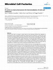 Research paper thumbnail of A review on slurry bioreactors for bioremediation of soils and sediments