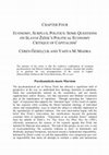 Research paper thumbnail of Economy, Surplus, Politics: Some Questions on Slavoj Zizek's Political Economy Critique of Capitalism