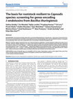 Research paper thumbnail of The basis for rootstock resilient to Capnodis species: screening for genes encoding δ-endotoxins from Bacillus thuringiensis