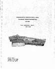 Research paper thumbnail of Archaeological Investigations at Háls, Hálsasveit, Borgarfjarðarsýsla, Iceland: First Preliminary Report,  1987-1988