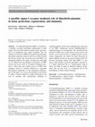 Research paper thumbnail of A possibly sigma-1 receptor mediated role of dimethyltryptamine in tissue protection, regeneration, and immunity