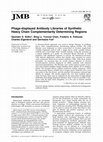 Research paper thumbnail of Phage-displayed Antibody Libraries of Synthetic Heavy Chain Complementarity Determining Regions