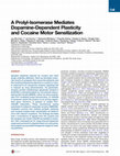 Research paper thumbnail of Conditional prolyl- isomerization of mGluR5 in plasticity of cocaine sensitization