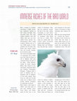 Research paper thumbnail of Immense Riches of the Birds' World