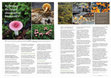 Research paper thumbnail of Rethinking the fungal dimension of biodiversity