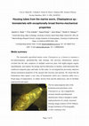 Research paper thumbnail of Housing tubes from the marine worm, Chaetopterus sp.: biomaterials with exceptionally broad thermo-mechanical properties