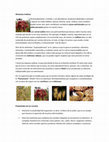 Research paper thumbnail of Alimentos Andinos