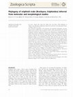 Research paper thumbnail of Phylogeny of eriphioid crabs (Brachyura, Eriphioidea) inferred from molecular and morphological studies.