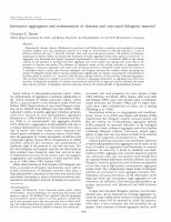 Research paper thumbnail of Interactive aggregation and sedimentation of diatoms and clay-sized lithogenic material