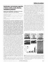 Research paper thumbnail of Architecture and material properties of diatom shells provide effective mechanical protection