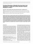 Research paper thumbnail of Functional Dissection of Naturally Occurring Amino Acid Substitutions in eIF4E That Confers Recessive Potyvirus Resistance in Plants