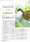 Research paper thumbnail of Lee, M.S.Y. Survival of the littlest.  Australasian Science Oct 2014: 20-22