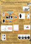 Research paper thumbnail of Geometric morphometric analysis of seed shape and the identification of two rowed barley (Hordeum vulgare subsp. distichum) in southern France