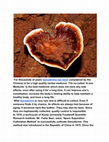 Research paper thumbnail of Is it really true that Ganoderma is the savoir of modem diseases and is a ‘Universal Medicine’ for all diseases?