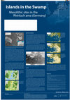 Research paper thumbnail of Islands in the Swamp. Mesolithic sites in the Rhinluch area (Germany)