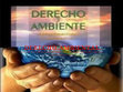 Research paper thumbnail of Derecho ambiental