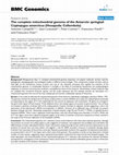 Research paper thumbnail of The complete mitochondrial genome of the Antarctic springtail Cryptopygus antarcticus (Hexapoda: Collembola