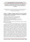 Research paper thumbnail of Les gisements à préservation exceptionnelle de l'Ordovicien inférieur de la région de Zagora (Anti-Atlas central, Maroc): un patrimoine paléontologique unique au monde à préserver et à valoriser. [TALK]