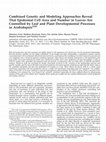 Research paper thumbnail of Combined Genetic and Modeling Approaches Reveal That Epidermal Cell Area and Number in Leaves Are Controlled by Leaf and Plant Developmental Processes in Arabidopsis