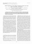 Research paper thumbnail of Sulfur Regulation of the Sulfate Transporter Genes sutA and sutB in Penicillium chrysogenum