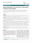 Research paper thumbnail of Spatial distribution and risk factors of Brucellosis in Iberian wild ungulates