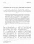 Research paper thumbnail of Palynostratigraphy of John's Nose, a new Cretaceous-Paleogene boundary section in southwestern North Dakota, USA