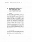 Research paper thumbnail of Rosenberger, Halenar, Cooke, and Hartwig (2008) Morphology and evolution of the spider monkey, genus Ateles. In Campbell (Ed) Spider Monkeys: Behavior, Ecology and Evolution of the Genus Ateles. New York: Cambridge University Press, p. 19-49.