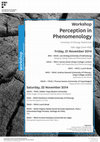 Research paper thumbnail of Perception in Phenomenology 