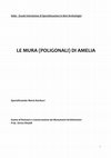 Research paper thumbnail of Le mura (poligonali) di Amelia