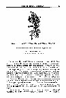 Research paper thumbnail of «Весела, как вешний жавороночек»: обрядовая подоплека устойчивого сравнения / "She Is Light as a Spring Lark": Ritual Background of the Idiom