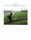 Research paper thumbnail of Petani Bisa Tonji