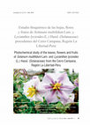 Research paper thumbnail of Estudio fitoquímico de las hojas, flores y frutos de Solanum multifidum Lam. y Lycianthes lycioides (L.) Hassl. (Solanaceae) procedentes del Cerro Campana, Región La Libertad-Perú