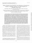 Research paper thumbnail of Study of Spanish Grape Mycobiota and Ochratoxin A Production by Isolates of Aspergillus tubingensis and Other Members of Aspergillus Section Nigri