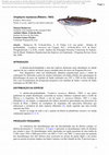 Research paper thumbnail of Diagnóstico preliminar da Abrótea-de-profundidade (Urophycis mystacea)