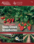 Research paper thumbnail of Production Guide for Texas Grown Strawberries