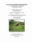 Research paper thumbnail of Proyecto Arqueológico Palmitopamba 2010: Informe al INPC