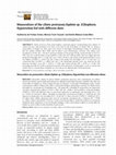 Research paper thumbnail of Monoculture of the ciliate protozoan Euplotes sp. (Ciliophora; Hypotrichia) fed with different diets