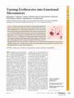 Research paper thumbnail of Turning Erythrocytes into Functional Micromotors