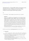 Research paper thumbnail of Nirmali Seed as a Natural Biosorbent; Evaluation of its Potential for Iron (II) Removal from Steel Plant Effluents and Sewage Disinfecting Capacity