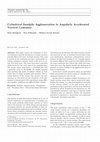 Research paper thumbnail of Cylindrical Sandpile Agglomeration in Angularly Accelerated Vertical Container