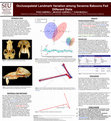 Research paper thumbnail of Occlusopalatal landmark variation among savanna baboons fed different diets