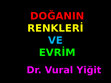 Research paper thumbnail of DOĞANIN RENKLERİ VE EVRİM-PPT