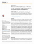 Research paper thumbnail of Entrapment bias of insects in Miocene amber revealed by trapping experiments in a tropical forest in Chiapas, Mexico