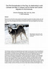 Research paper thumbnail of The Pre-Domestication of the Dog, its relationship to wild Canidae and Man; A Unique Look at Human and Canine Migration to the Americas.