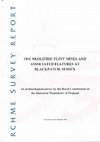 Research paper thumbnail of D Field, M Barber (1998) The Neolithic Flint Mines and Associated Features at Blackpatch, Sussex. RCHME Survey Report.