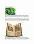 Research paper thumbnail of Blog post (pulcinellapasta.wordpress.com): BORAGE Blossoms & "sallet"