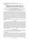 Research paper thumbnail of Pathogenicity of Aeromonas hydrophila in Silver Carp Hypophthalmichthys molitrix and its Control Trial